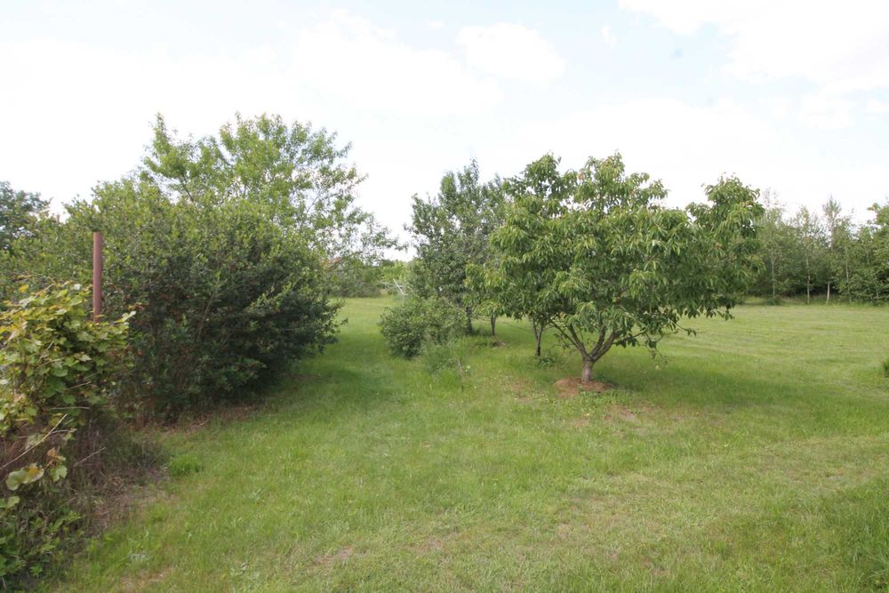 Przestronne, wygodne 3-pokojowe mieszkanie z dostępem do dużego ogrodu