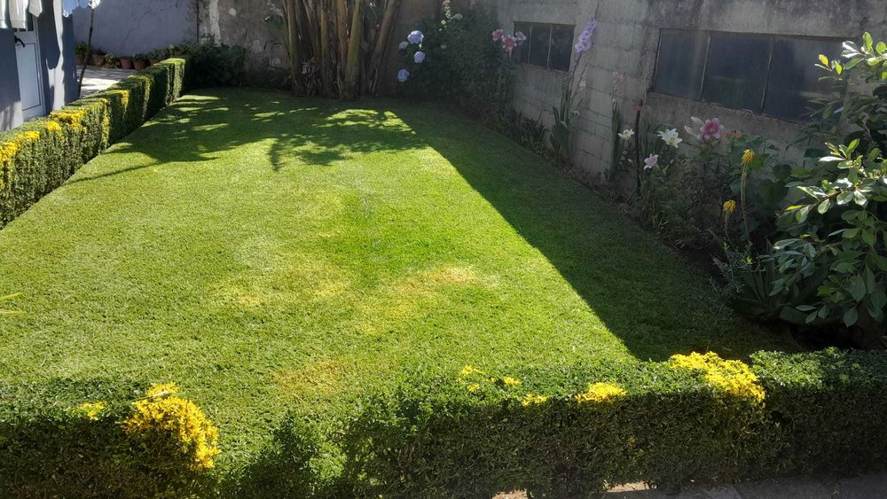 JL Jardins serviços de jardinagem