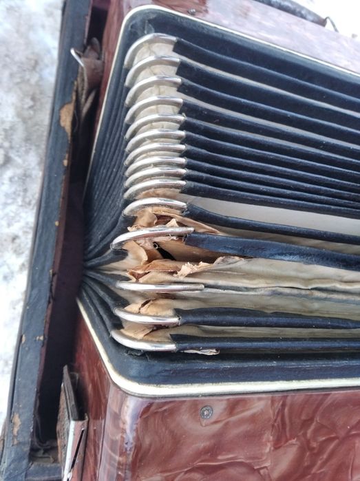 Аккордеон Украина.