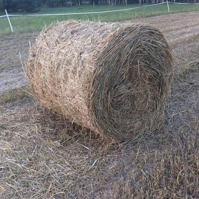 Sprzedam słomę  120
