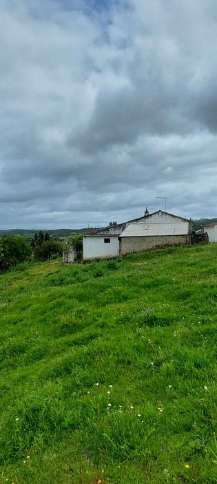 Monte Alentejano em Santana da Serra casa térrea com 78m2 prédio urbano e rústico de 8 hectares