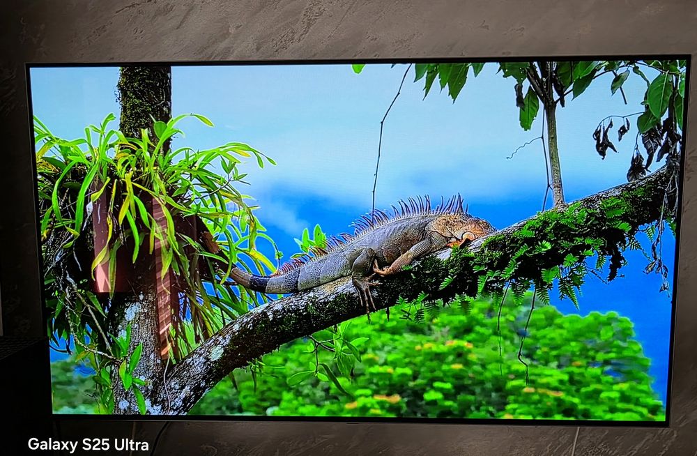 TV Telewizor LG Oled 55 cali