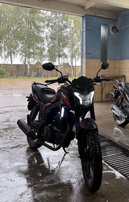 Mustang Region Mt 250