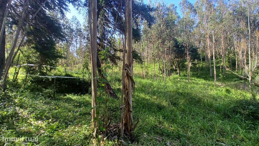 Terreno - Vila Nova da Barca - Venda