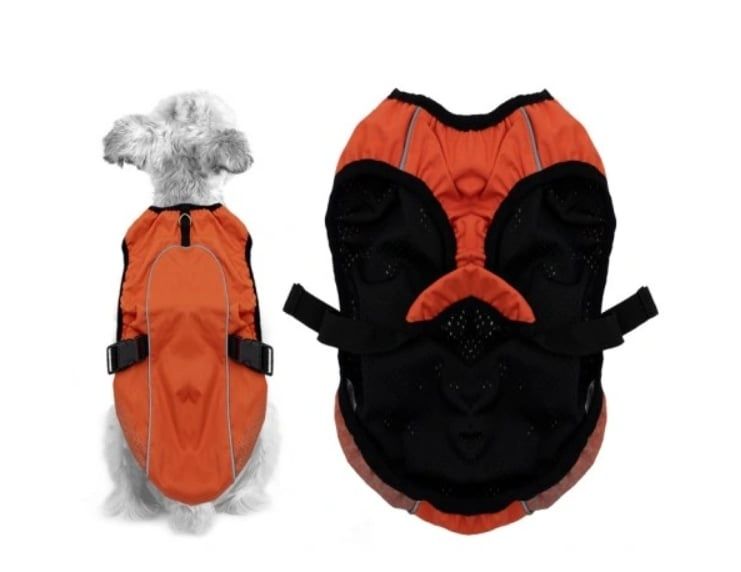 Kamizelka przeciwdeszczowa branko dla psa xs