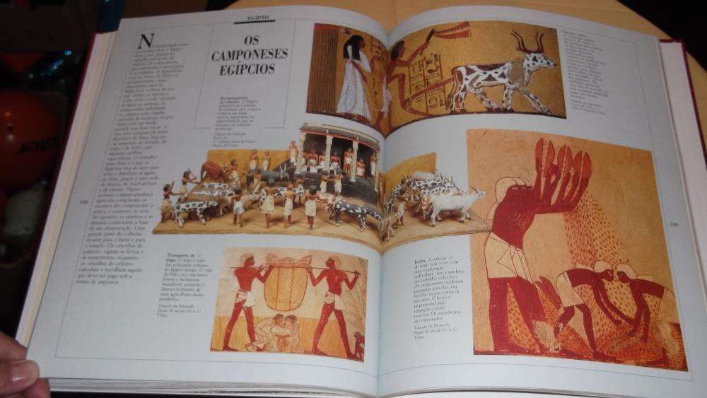livro História do Mundo Primeiras Civilizações