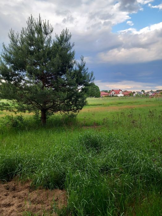 REZERWACJA DO PIĄTKU .Działka budowlana przy lesie 50ar Jelna-Borki, możliwość podziału na 2, MPZP - Widok 3