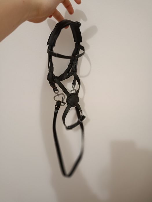 Ogłowie hobby horse