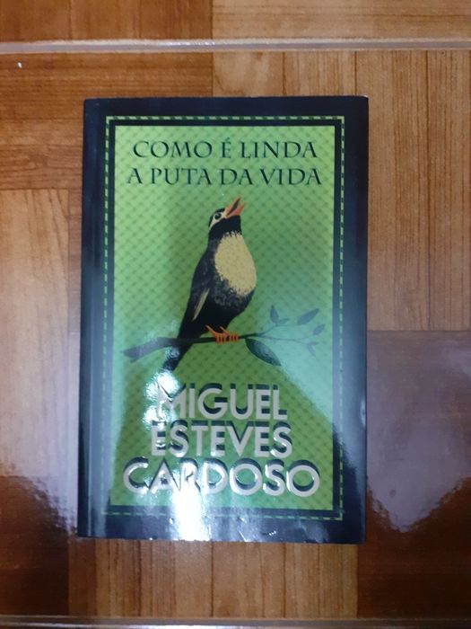 Miguel Esteves Cardoso, como é linda...