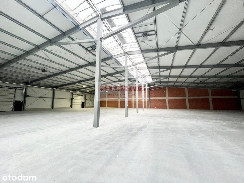 Hala Magazyn od 1300 do 2600 m2 Niepołomice