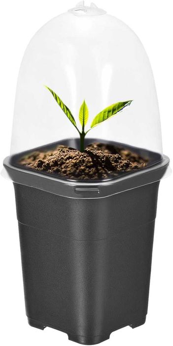 Doniczki do sadzonek 8 szt. z pokrywą czarne