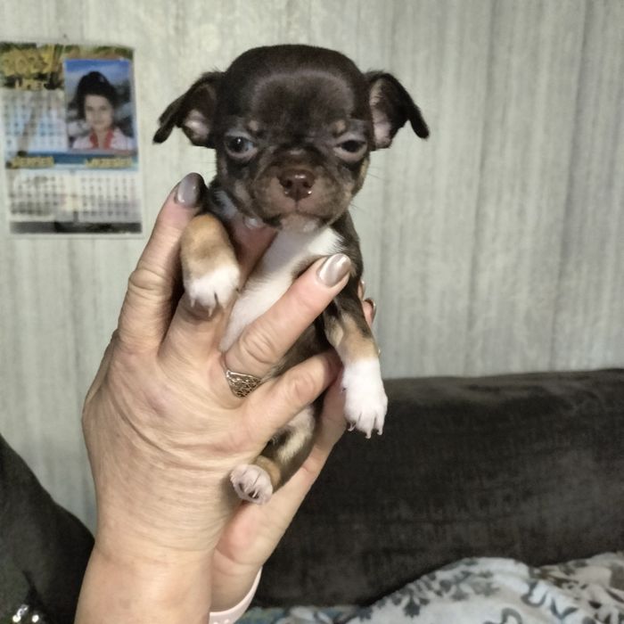 Минички-малышки и мальчишки.