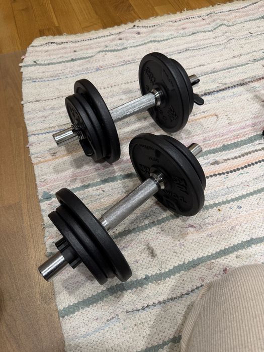 Dois halteres de 10kg cada ferro fundido