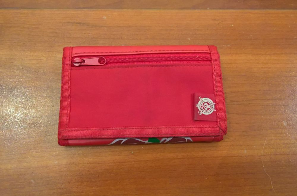 Carteira Tweety - looney tunes