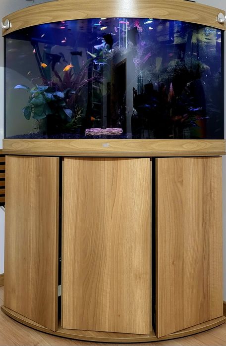 Sprzedam akwirum narożne Juvel 190l Dąb