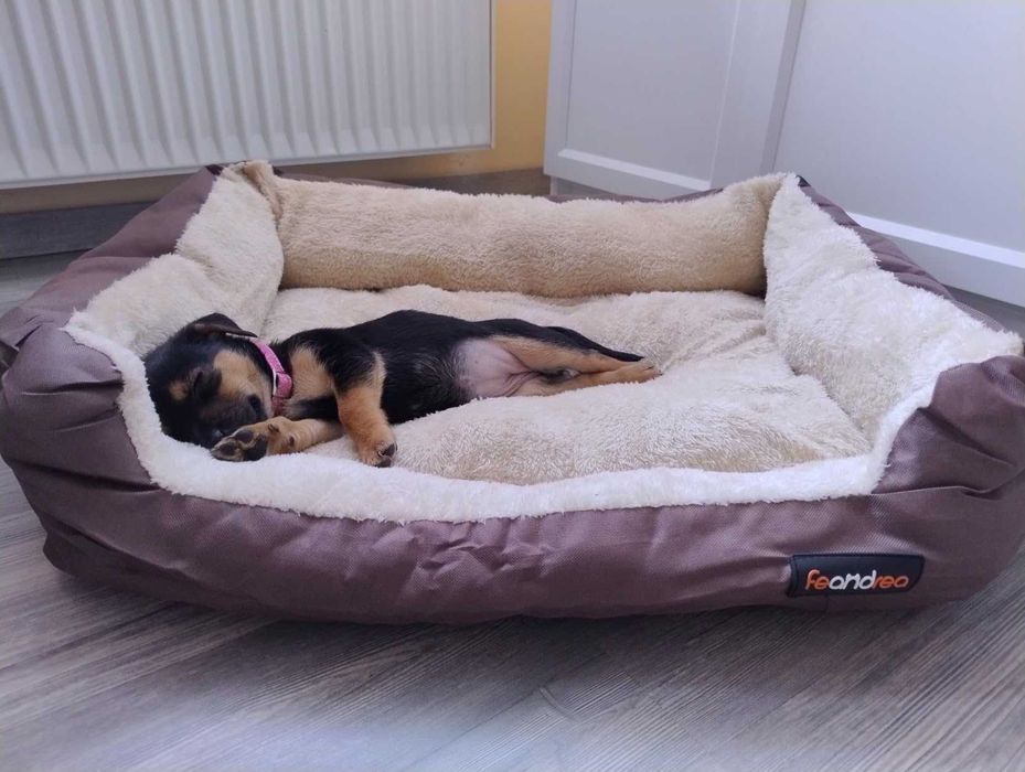 Legowisko dla psa kota posłanie poduszka zwierzęta pies kot NOWE