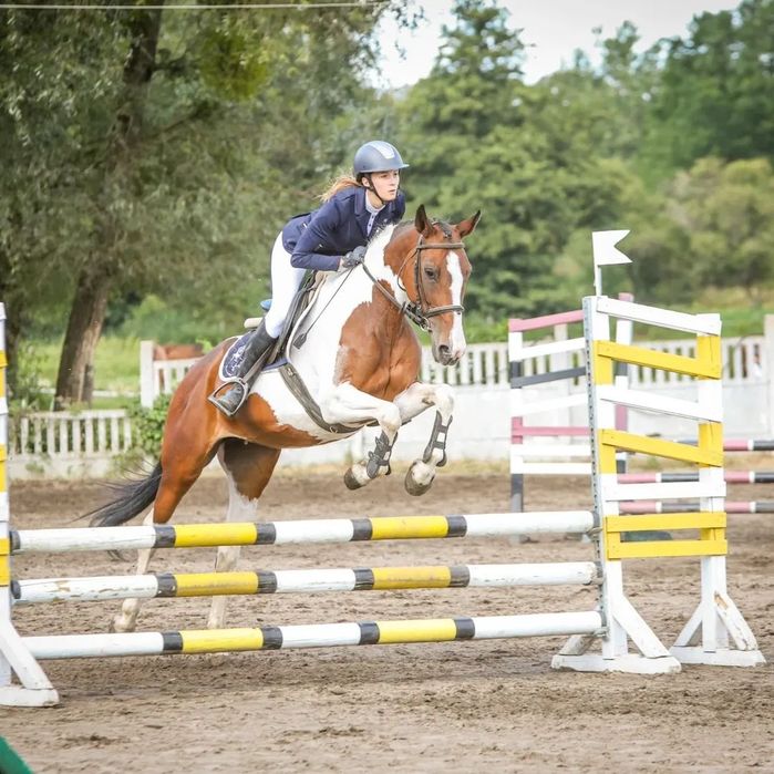 Sprzedam klacz sport/rekreacja/Hipoterapia