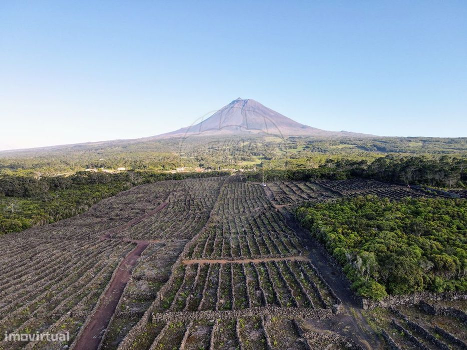 Terreno  para venda