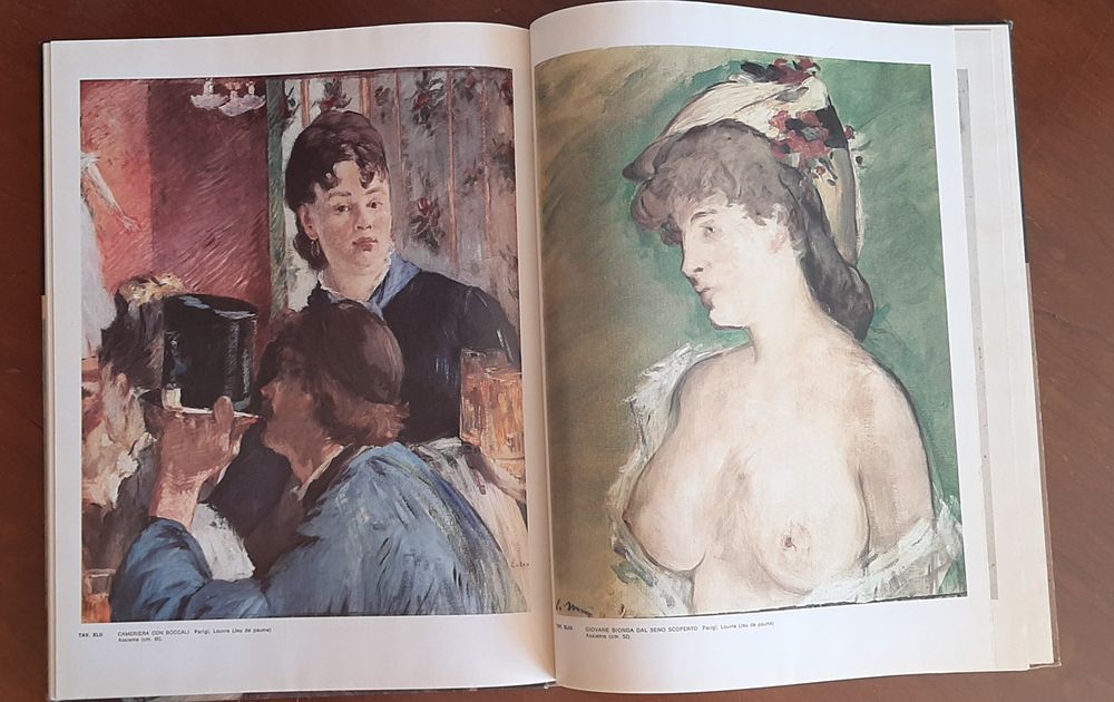 Livro sobre Edouard Manet