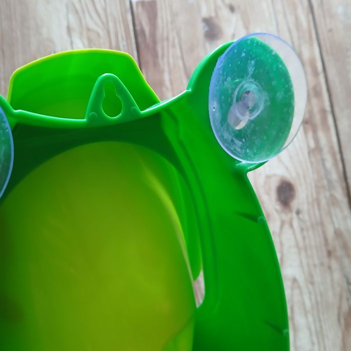 Пісюар  жабка  .