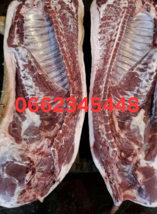 Продам туши свинячі!