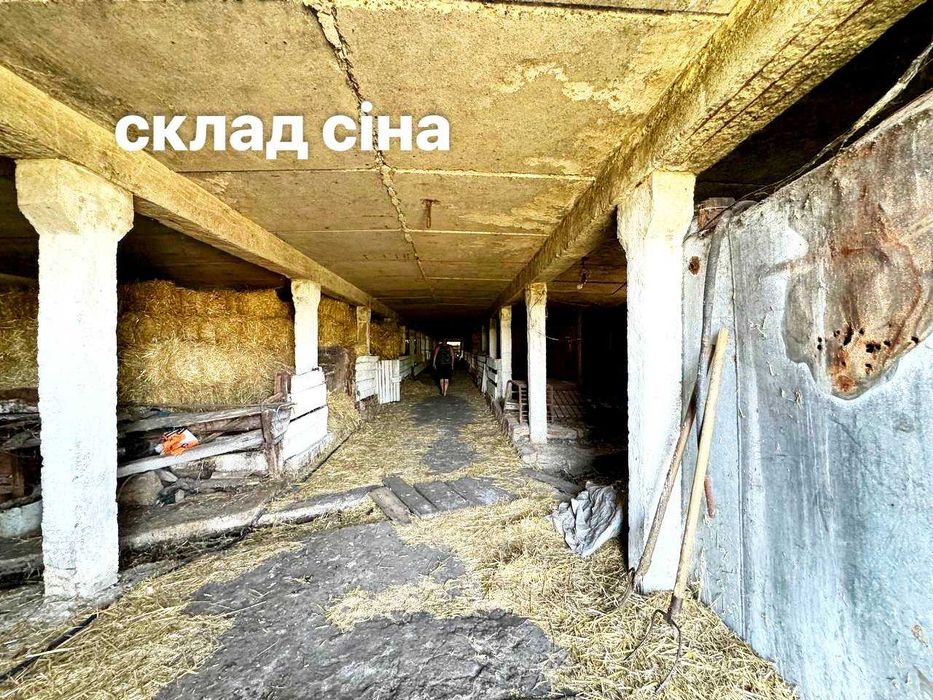 Продається діючи СІМЕЙНА Молочна ЕКОФЕРМА +3,2 га +10 га землі