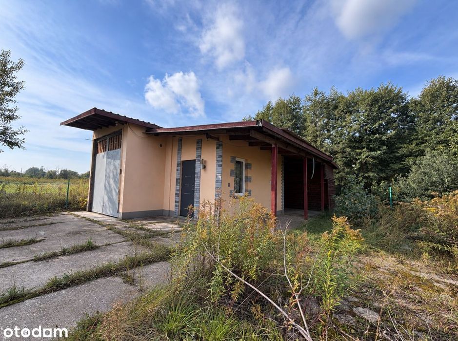 Działka w Klaudynie - Widok 2