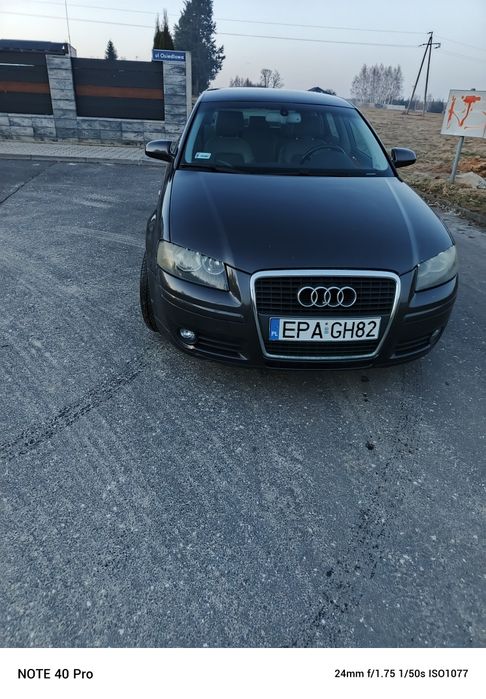 Audi A3 8P 1.9 TDI