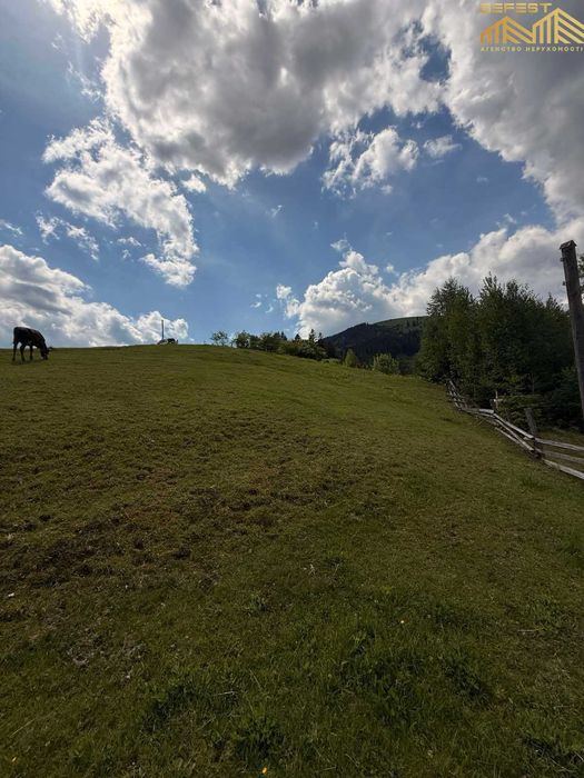 Верховина. 25,5сотих. Нерухомість. Земля. Карпати. Верховинський район