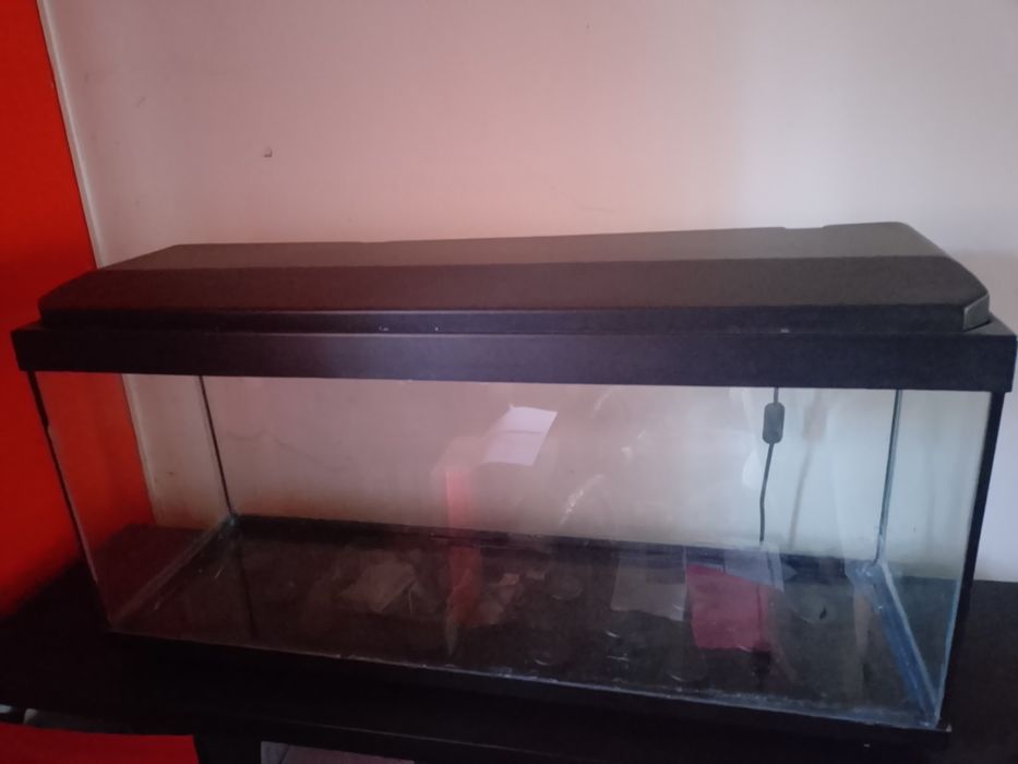 Aquário 100 cm como novo