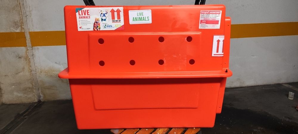 Caixa transporte PET Travel 300 Transporte IATA