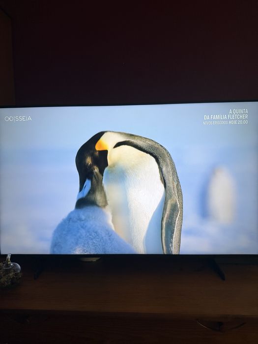 TV Samsung 4K igual a nova 2025