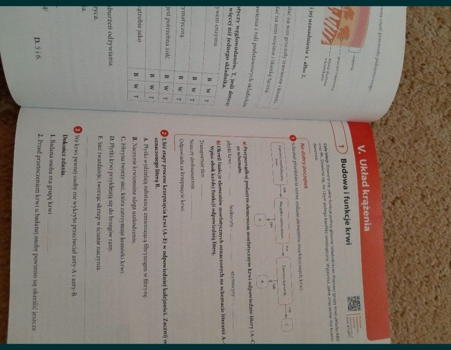Ćwiczenia do biologii klasa 7