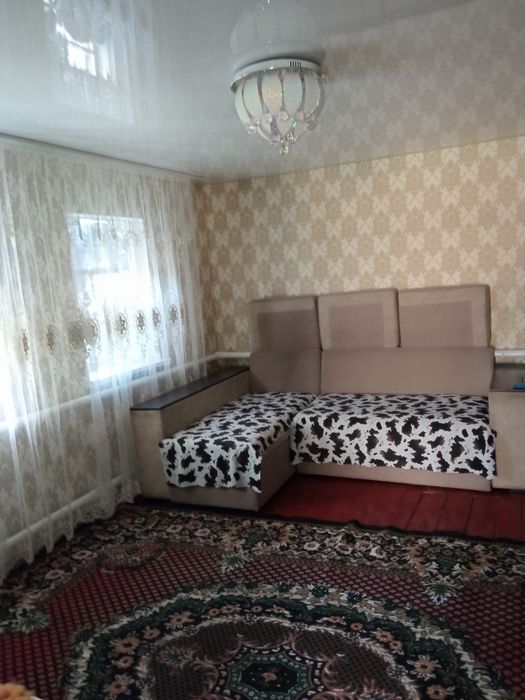 Продам будинок на Баранівкі