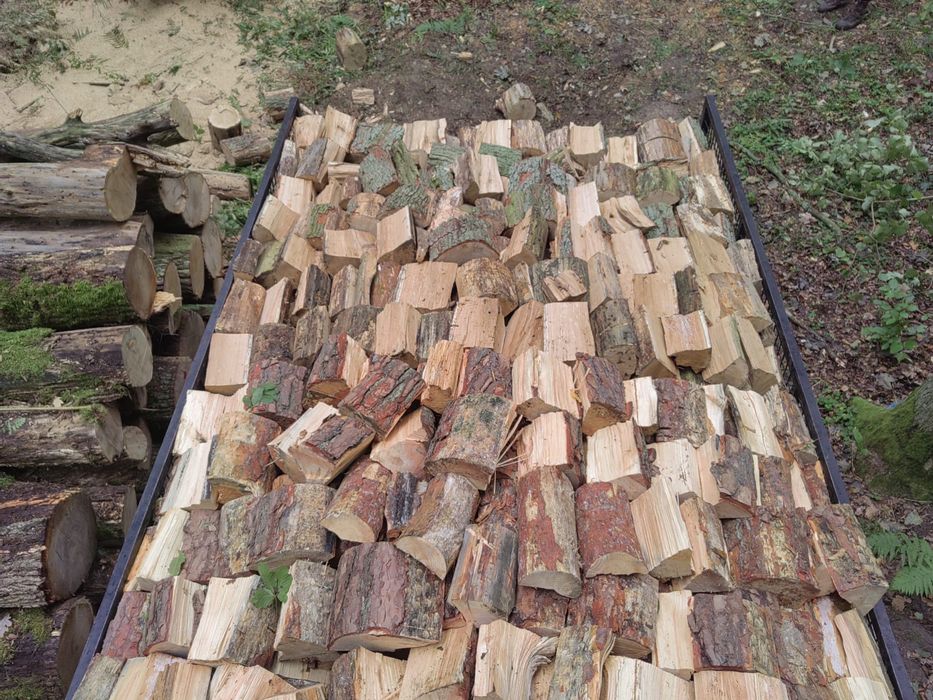 Drewno kominkowe i opałowe transport gratis