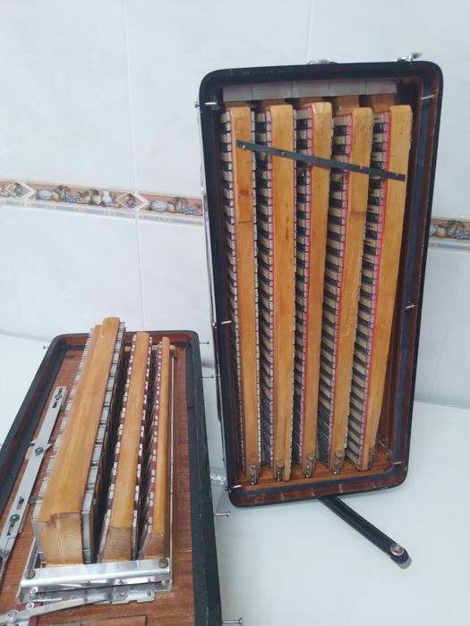 Acordeon/Acordeão     Coop. L' Armonica