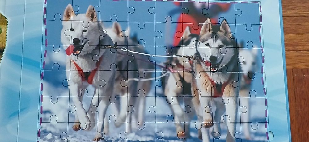 O meu livro puzzle de cães