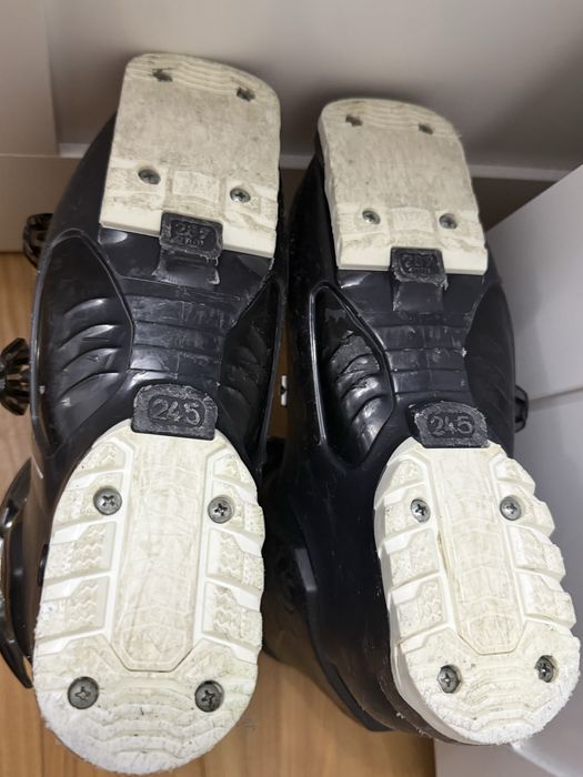 Buty narciarskie dalbello