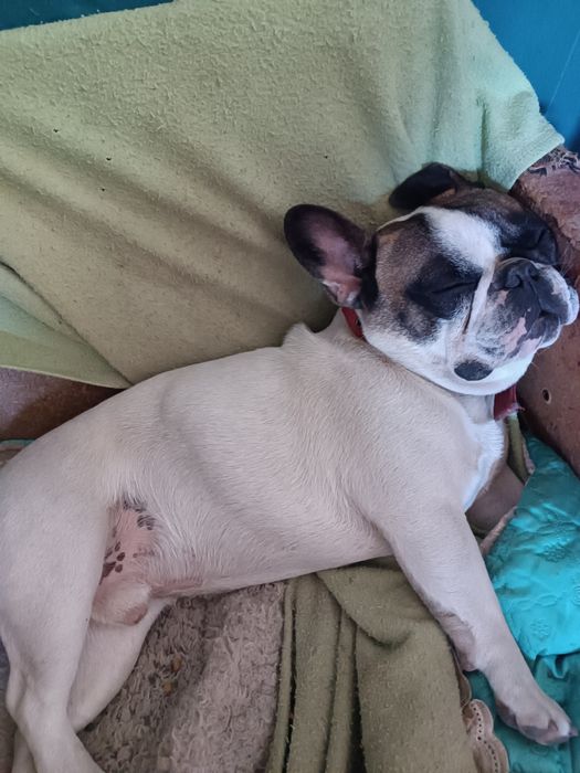 Мальчик красавчик