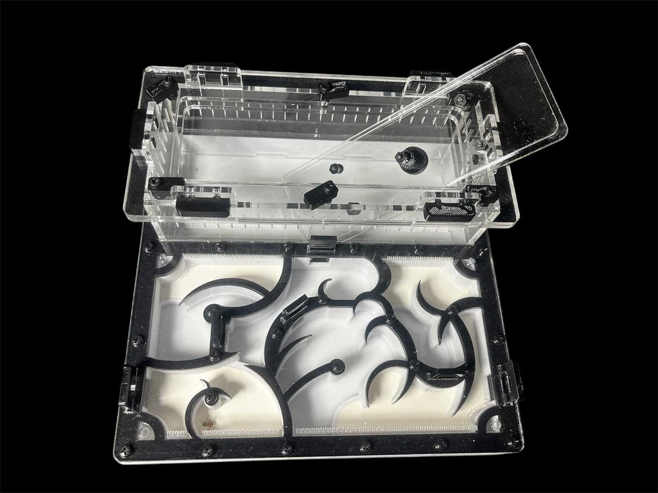 Купити мурашину ферму в Україні — формикарій з екзотичними мурахами