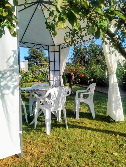 Działka ROD sprzedaż