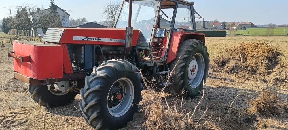 Ursus 1224