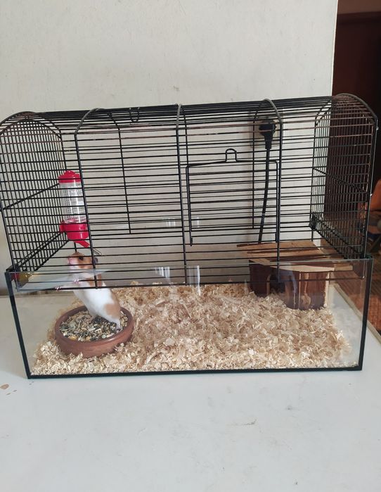 Casotas de hamsters