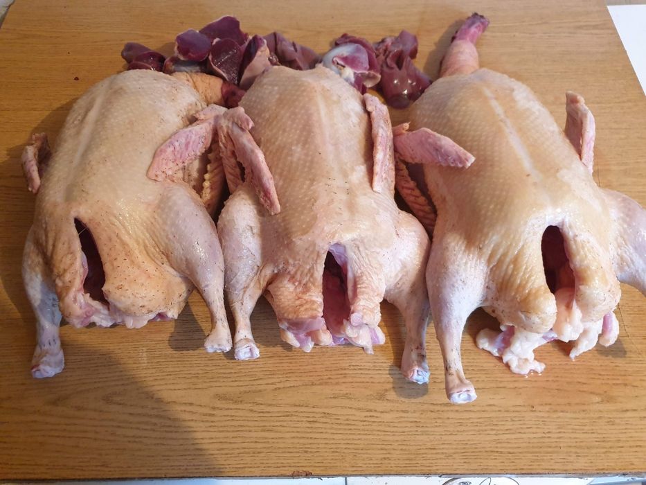 Tuszki z krwią pod zamówienie