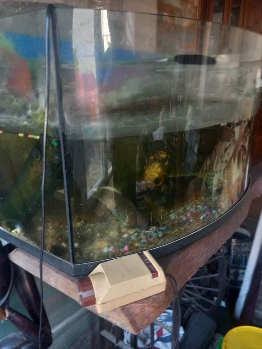 Vendo aquario de 150L com peixes