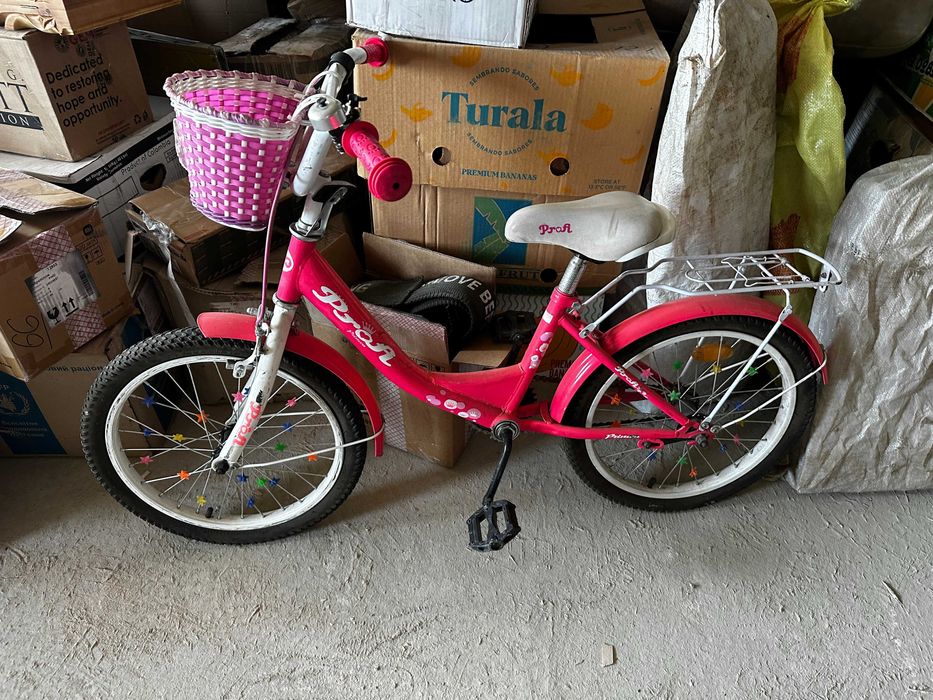 велосипед детский Profi Princess