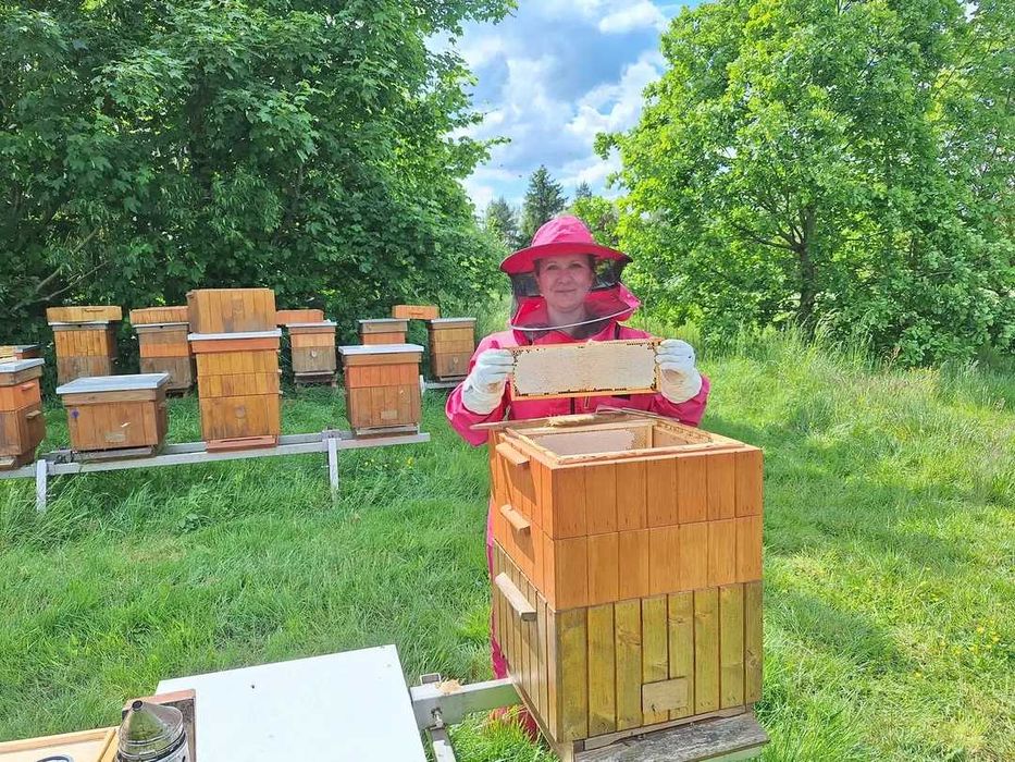 Miód wielokwiatowy z własnej pasieki.