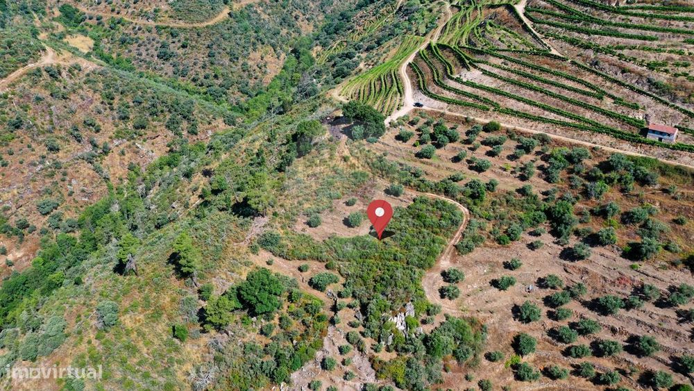 Terreno  para venda