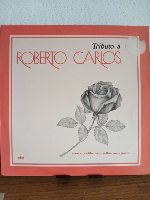 Vinys de musica brasileira