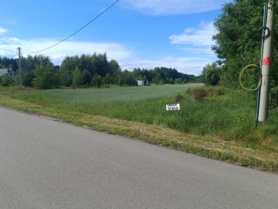 Działka budowlana Leontyna